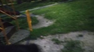 ВЛОГ . ваксой гуляет