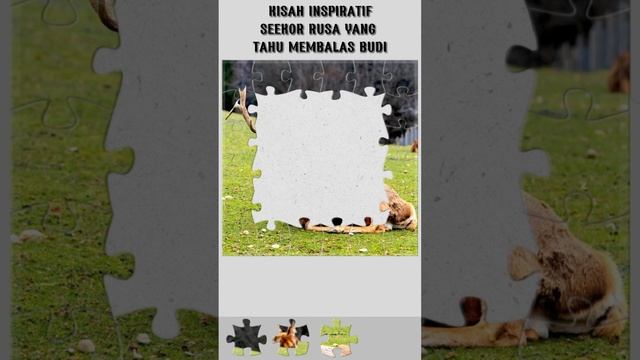 Kisah Inspiratif Seekor Rusa yang tahu membalas budi - Puzzle Game смотреть онлайн