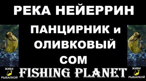 Оливковый сом и длинноносый панцирник на реке Нейеррин