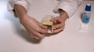 ORGALUTRAN _ Tutoriel