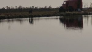 утро на озере ... рыбалка для души