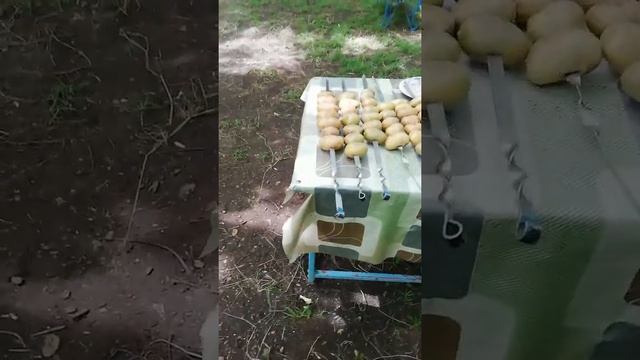 Исмаиллы, Азербайджан. Отдых на природе