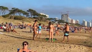 Пляжное сафари. ЮАР. Майами. Бразилия.