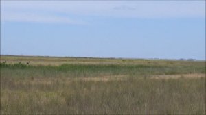 ЭКСКУРСИЯ НА ОСТРОВ БИРЮЧИЙ ЗАПАДНАЯ СТОРОНА