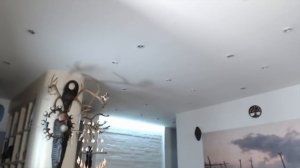 Сосновые шишки, хвоя, прополис