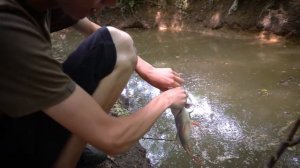 Fishing in a DITCH for Redfin Perch -- Ch. 2