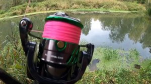 Катушка для спиннинга с Алиэкспресс ? Новинка от Bearking!