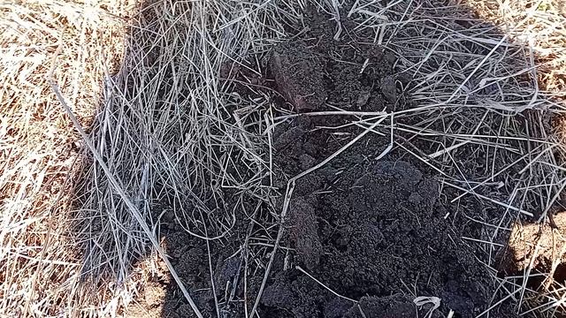 открытие сезона.