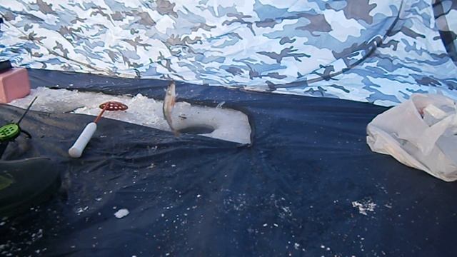 Рыбалка на ТАМБОВСКОМ МОРЕ . смотреть онлайн