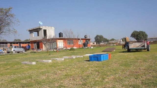 Adiestramiento canino Genaro gran pastor belga malinois 13 смотреть онлайн