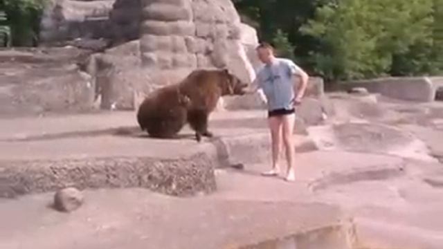 Мужчина напал на медведя в зоопарке Варшавы смотреть онлайн