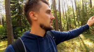 Как выйти из леса, если заблудился. Челлендж vs Эксперимент
