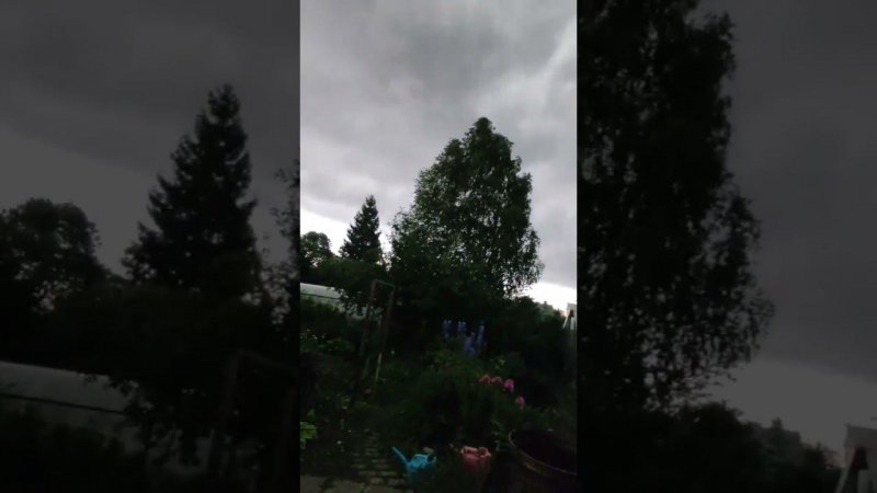 История одного шторма на даче, 5.07.2024 | vlog дача как есть