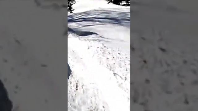 Сибирская Швейцария горнолыжный тур в Шерегеш для новичков и профи #путешествия #туризм #путешестви смотреть онлайн