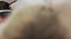 Гематомы/ Цефтриаксон и Рибоксин для ПАЛЬМЫ