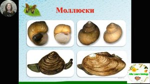 Природоведение .Охрана воды 1 часть.