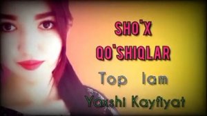 Sho'x qo'shiqlar to'plami, Давра боп кушиклар туплами, Туйбоб кушиклар, Шух кушик, Yangi uzbek klip