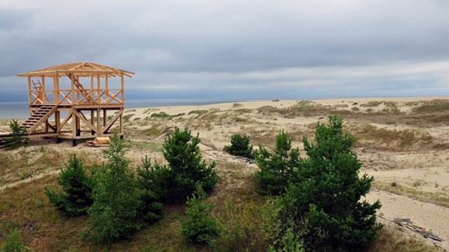 Куршская Коса - национальный парк смотреть онлайн