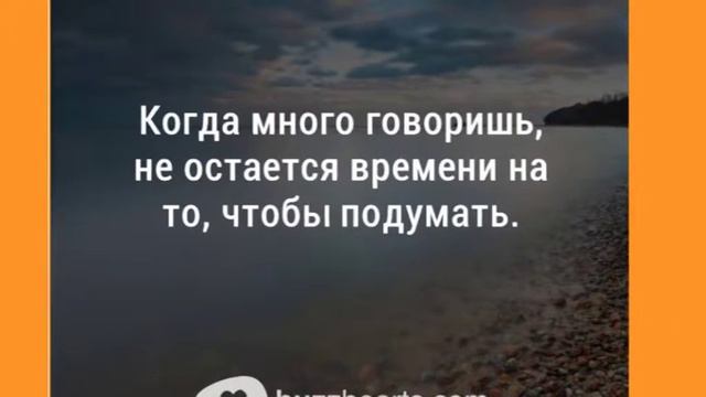 Размышления о жизни автор фильма Николай Щербань февраль 2017 смотреть онлайн