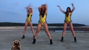 Самый лучший тверк 2020 года \ The Best Twerk 2020