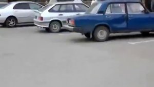 Коты Гоняются за Собаками! Супер ржач