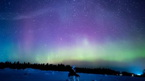 (Рыбинск-40) ИЗУМРУДНОЕ НЕБО