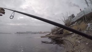 Тест Hearty Rise Pro Force 782m