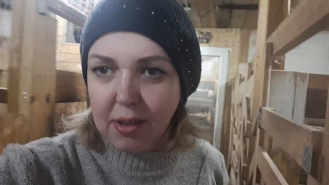 Вторая коза отстрелялась. А козлят уже забрали. //Ещё гуси занеслись. Огромные яйца. смотреть онлайн