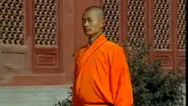09. 少林武术 - 少林炮拳 Shao Lin Martial Art 9