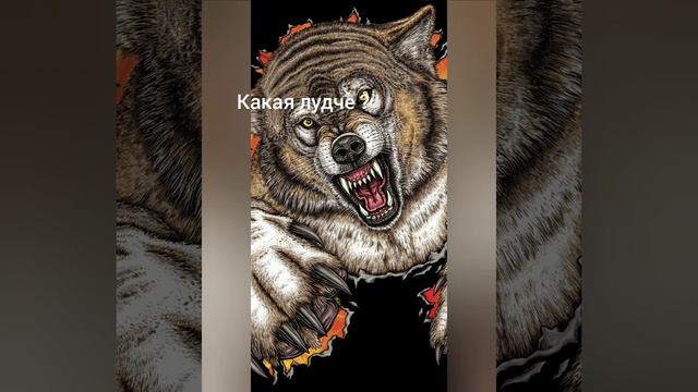 Какая лудче ? Пишив в коментариях где больше 👍 та и будет го 50 подпишиков смотреть онлайн