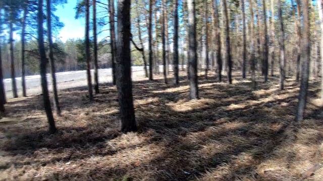 Как звучат цели в режиме поиска ЗОЛОТО 1 на Эквинокс 800? смотреть онлайн