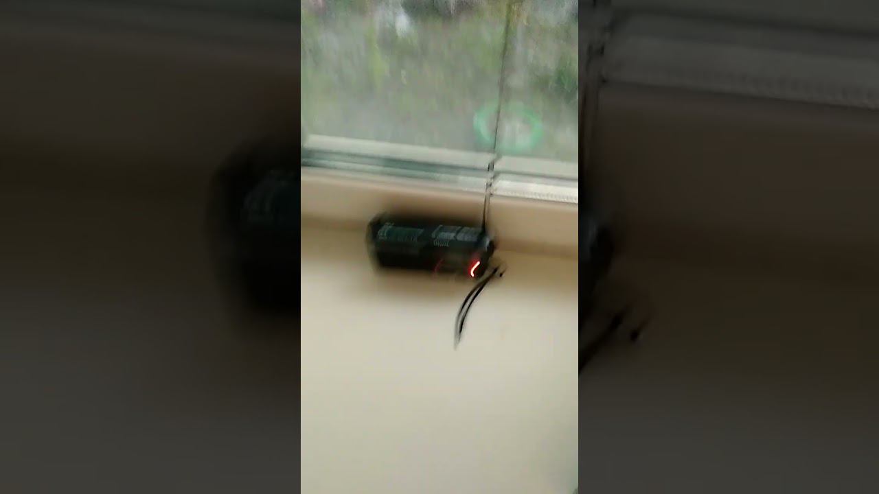 22 июня 2024 г. смотреть онлайн