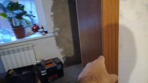 Фабричный портал и дверь на роликах