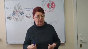 Лекция врача Михайловой Р.И. Подагра