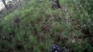 Чуть с ума не сошёл от такой находки