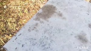 Обработка пчёл щавелевой кислотой.