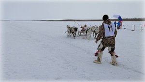 ДЕНЬ ОЛЕНЕВОДА 23.03.2019 / Праздник оленеводов / село Мужи / Шурышкарский район