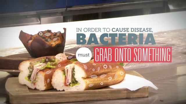 Testing the 5 Second Rule | RMIT University смотреть онлайн