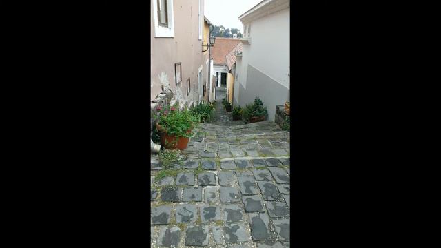 Antonio Vivaldi Trio Sonata For 2 Violins And Basso Continuo No 5 in F major смотреть онлайн