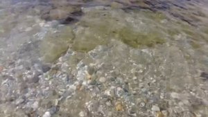 Лучшие ПЛЯЖИ АЛАНЬИ. Какая опасность ждёт вас в море!