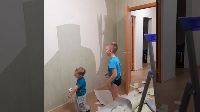 Как быстро ободрать обои со стены смотреть онлайн