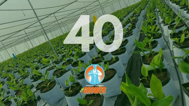 Join Bootcamp 9.0 & Start Your Own Pilot Project | Mission Haldrak 2022 смотреть онлайн