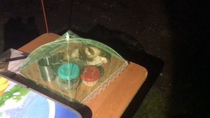 Рыбалка в Ставропольском Крае, Озеро Волчьи Ворота Мы ещё Вернёмся