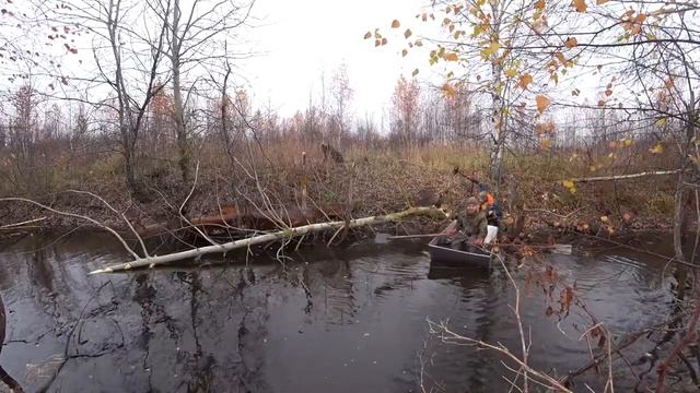 Приехали забрать трубы, но нашли ещё больше всего. По бобровой плотине через канал! смотреть онлайн