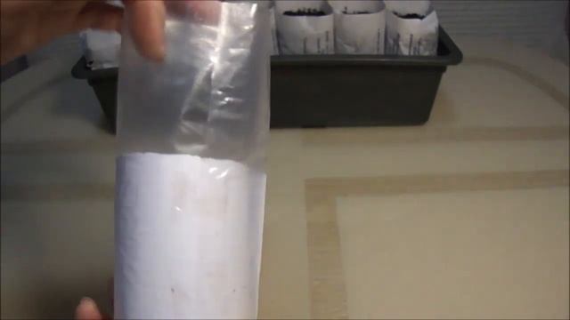 Вы правы! Бумажные стаканчики ерунда! Пересеваю семена лука Эксибишен! смотреть онлайн