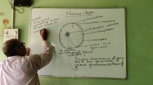 Nucleus in Cell for 9th Biology (lecture 2)