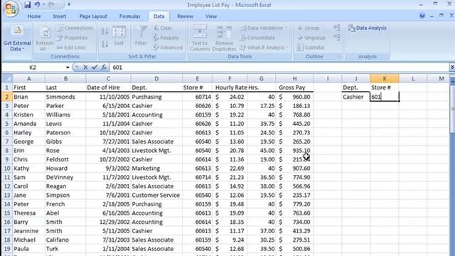 Create Custom Filters Using Excel Advanced Filter