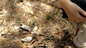 Обзор пневматической винтовки Hatsan 65 RB