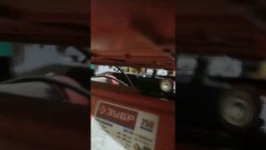 ЗУБР ЗСЛ-250 - лютое г.... О за 20 тр.