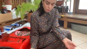 Цветущие Астры в Июне.